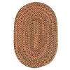 Worley Orange 8 ft. x 10 ft. Indoor/Outdoor Area Rug by Colonial Mills